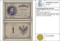 Polska, 1 złoty, 28.02.1919