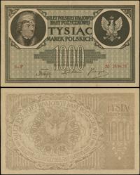 1.000 marek polskich 17.05.1919, seria P, numera