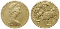 1 dolar 2009, Canberra, Kangury, 21.52 g złota p