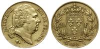 20 franków 1817 Q, Perpignan, awers autorstwa Mi