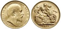 funt 1907 M, Melbourne, złoto 7.99 g, piękny egz