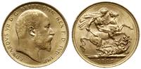 funt 1907 M, Melbourne, złoto 7.99 g, pięknie za