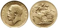 1 funt 1926 SA, Pretoria, złoto próby 916.7, 7.9