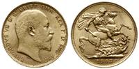funt 1903, Londyn, złoto 7.98 g , próby 917, bar