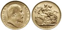 funt (suweren) 1907 M, Melbourne, złoto 7.99 g, 