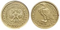 100 złotych 2004, Warszawa, Orzeł Bielik, złoto 