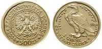 500 złotych 2004, Warszawa, Orzeł Bielik, złoto 