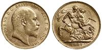 1 funt 1907, Londyn, złoto próby 916.7, 7.98 g, 