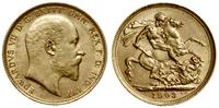 1 funt 1903 S, Sydney, złoto próby 916.7, 7.99 g