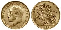 1 funt 1913, Londyn, złoto 7.98 g, próby 917, ba
