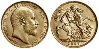 1 funt (sovereign) 1907, Londyn, złoto 7.98 g, p