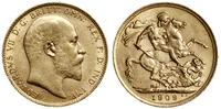 1 funt (sovereign) 1909, Londyn, złoto 7.98 g, p