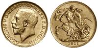 1 funt (sovereign) 1911, Londyn, złoto 7.99 g, p