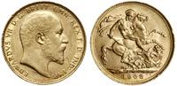 1 funt (sovereign) 1908 M, Melbourne, złoto 7.98