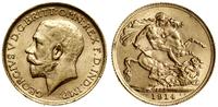 1 funt (sovereign) 1914, Londyn, złoto 7.98 g, p
