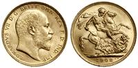 1 funt (sovereign) 1908 M, Melbourne, złoto 7.99
