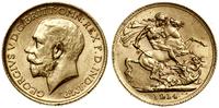 1 funt (sovereign) 1914, Londyn, złoto 7.99 g, p