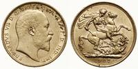 1 funt (sovereign) 1907 M, Melbourne, złoto 7.98