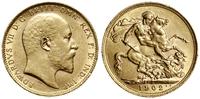 1 funt (sovereign) 1902, Londyn, złoto 7.95 g, p
