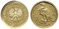 50 złotych 2004, Warszawa, Orzeł bielik, złoto o