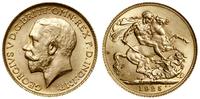 1 funt (sovereign) 1925, Londyn, złoto 7.99 g, p