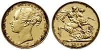 1 funt (1 sovereign) 1884 M, Melbourne, typ  z m