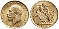 1 funt (1 sovereign) 1915, Londyn, złoto 7.98 g,