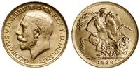 1 funt (1 sovereign) 1918 P, Perth, większa głow