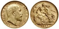 1 funt (sovereign) 1907 S, Sydney, złoto 7.98 g,