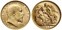 1 funt (sovereign) 1908 P, Perth, złoto 7.99 g, 