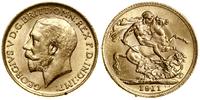 1 funt (sovereign) 1911, Londyn, złoto 7.99 g, p