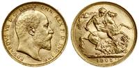1 funt (sovereign) 1905 M, Melbourne, złoto 7.98