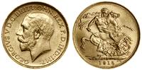 funt 1915 S, Syndey, złoto 7.97 g, wyśmienity
