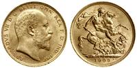 1 funt (sovereign) 1909 M, Melbourne, złoto 7.99
