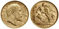 1 funt (sovereign) 1905 P, Perth, złoto 7.99 g, 