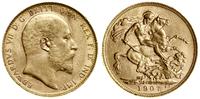 1 funt (sovereign) 1907 P, Perth, złoto 7.98 g, 