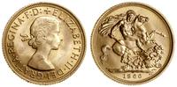 1 funt (sovereign) 1966, Londyn, złoto 7.98 g, p