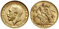 1 funt (sovereign) 1911, Londyn, złoto 7.98 g, p