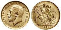 1 funt (1 sovereign) 1911 S, Sydney, złoto 7.99 