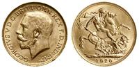 1 funt (1 sovereign) 1920 P, Perth, większa głow