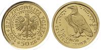 50 złotych 2004, Warszawa, Orzeł Bielik, złoto 1
