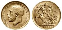 1 funt (1 sovereign) 1923 P, Perth, złoto 7.99 g