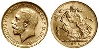 1 funt (1 sovereign) 1925 S, Sydney, złoto 7.99 