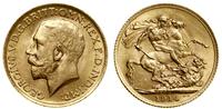 1 funt (1 sovereign) 1914, Londyn, złoto 7.99 g,