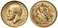 1 funt (1 sovereign) 1922 P, Perth, złoto 7.98 g