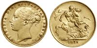 1 funt (1 sovereign) 1875 M, Melbourne, młoda gł