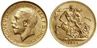 1 funt (1 sovereign) 1911 C, złoto 7.99 g, próby