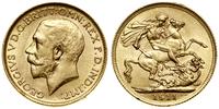 1 funt (1 sovereign) 1911, Londyn, złoto 7.99 g,