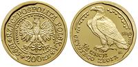 Polska, 200 złotych = 1/2 uncji, 1995