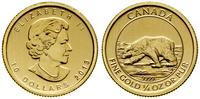 10 dolarów = 1/4 uncji 2013, Ottawa, Polar Bear,
